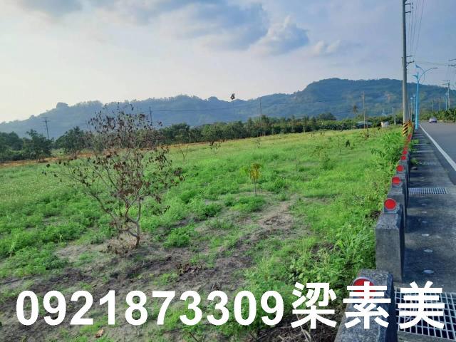 台南農地-2