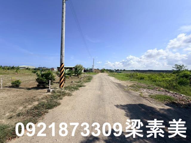 台南仁德農地-1