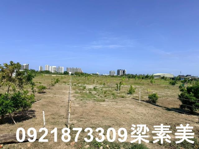 台南仁德農地-2