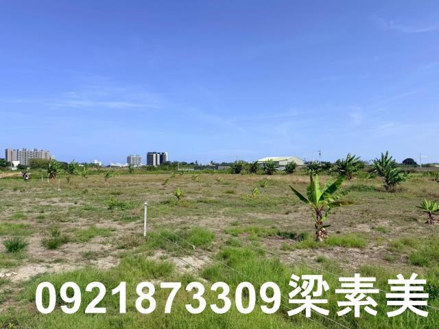 台南仁德農地-5