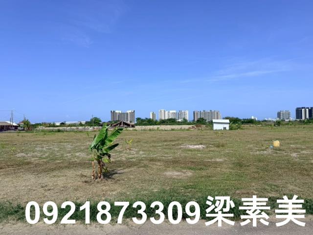 台南仁德農地-6