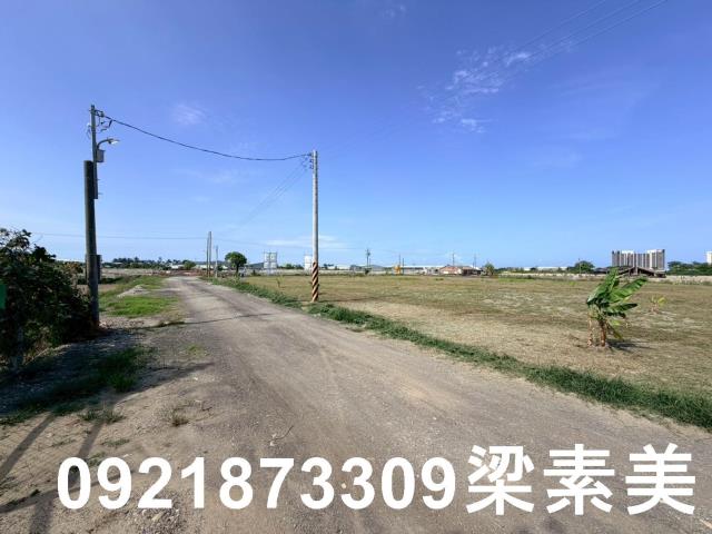 台南仁德農地-7