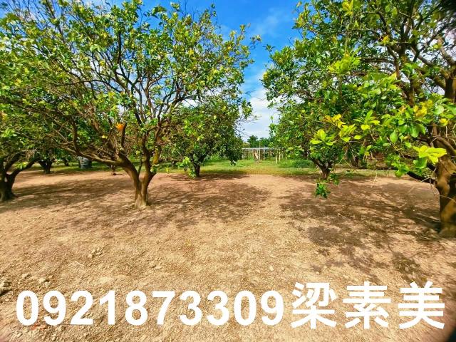 台南佳里農地-9