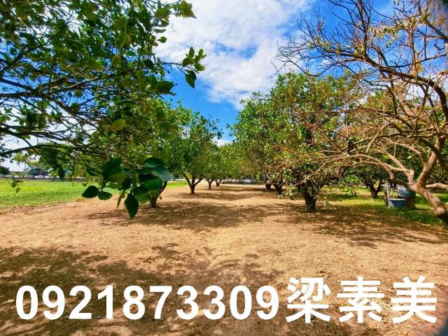 台南佳里農地-5
