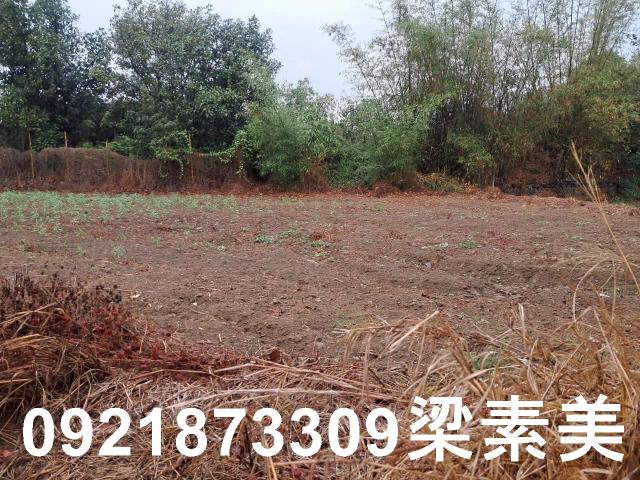 台南農地-12