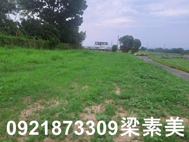台南農地-2