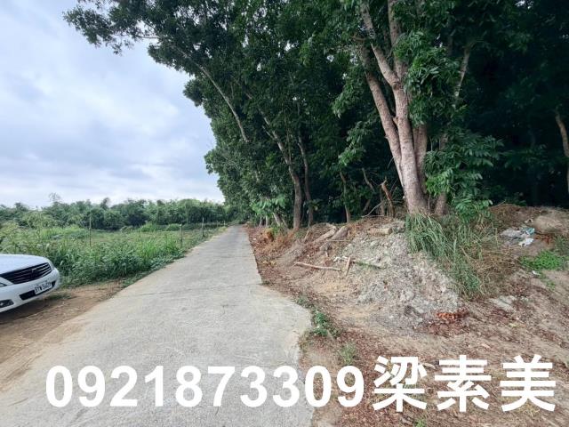 台南關廟農地-1