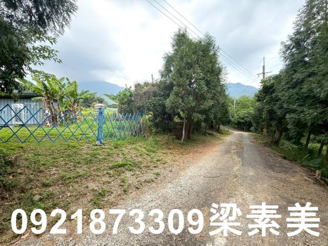 台南東山農地-1