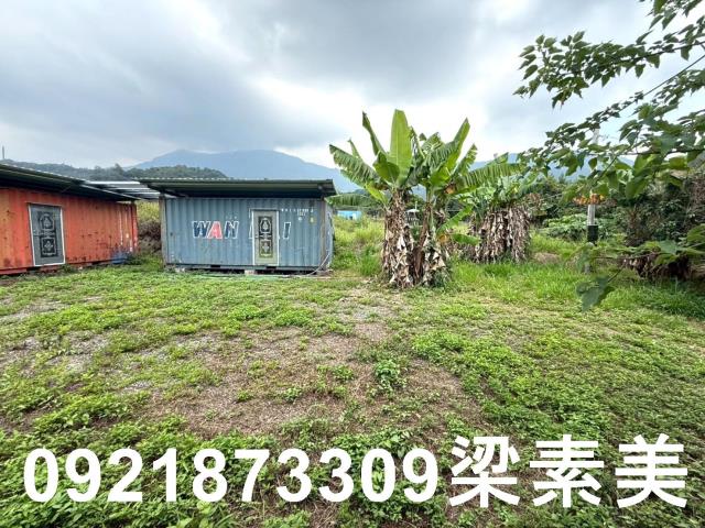 台南東山農地-2