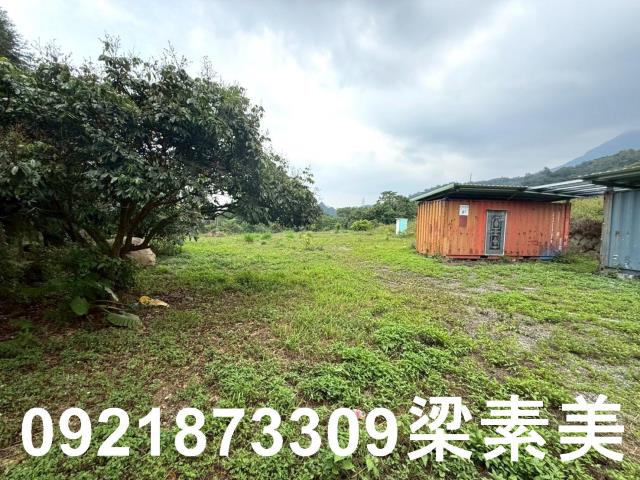 台南東山農地-3