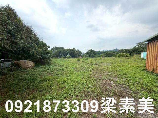 台南東山農地-4