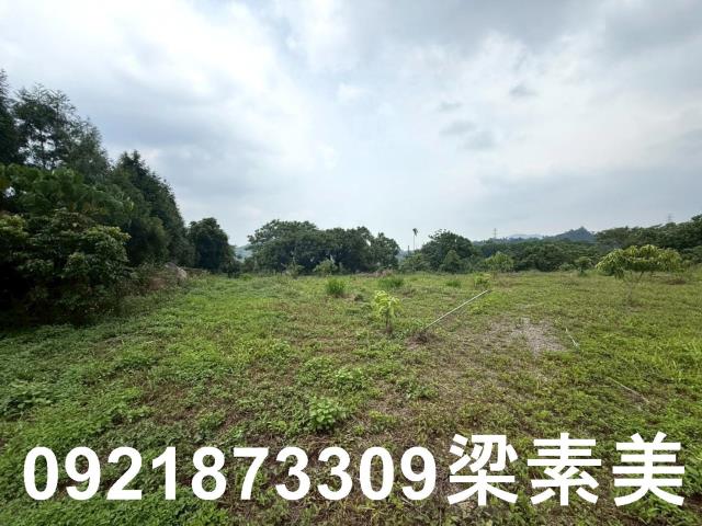 台南東山農地-5