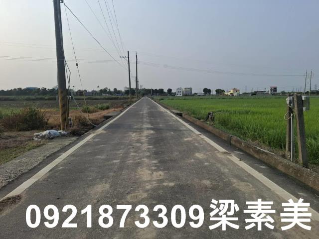台南善化農地-3