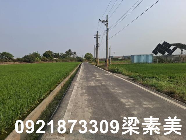 台南善化農地-5