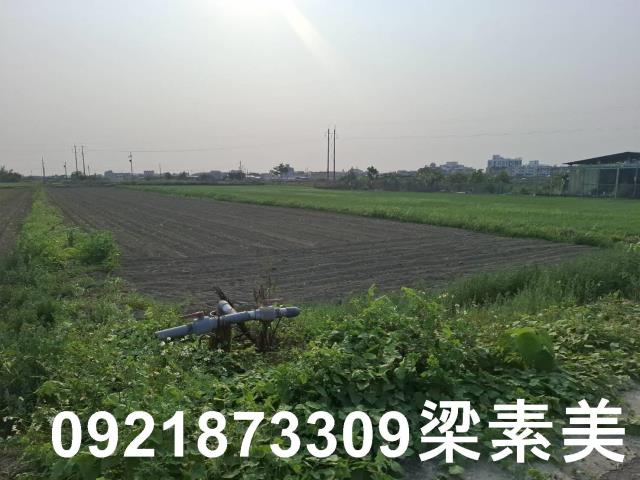 台南善化農地-7