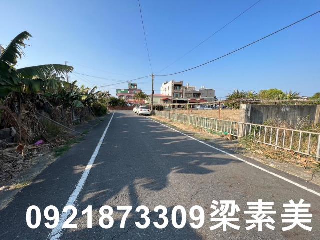 台南新市農地-5