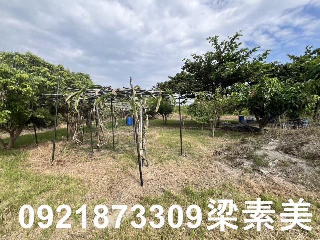 安南農地-1