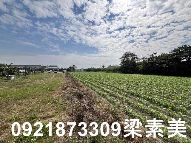 安南農地-2