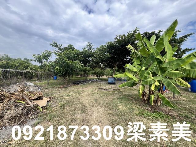安南農地-4