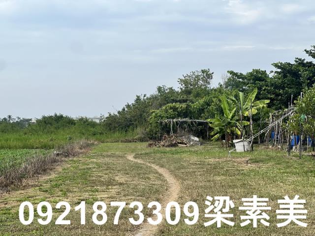 安南農地-5