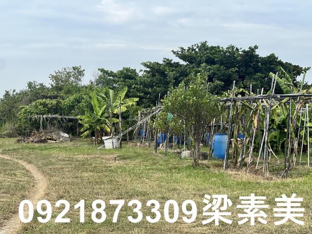 安南農地-6