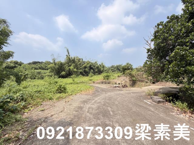 歸仁農地-3