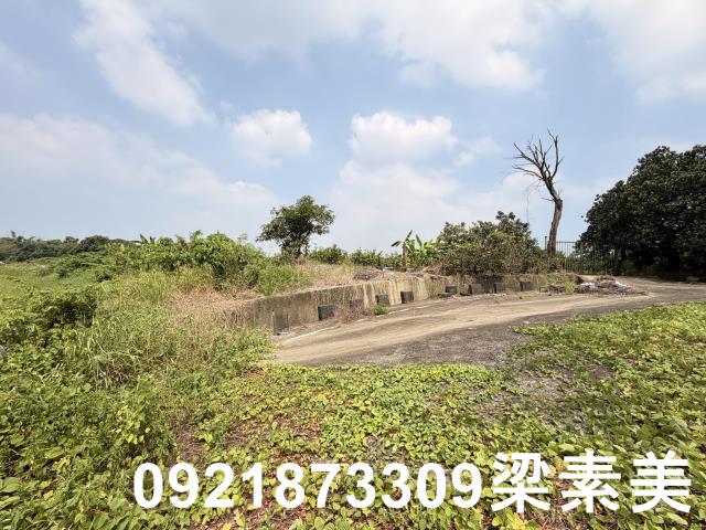 歸仁農地-6