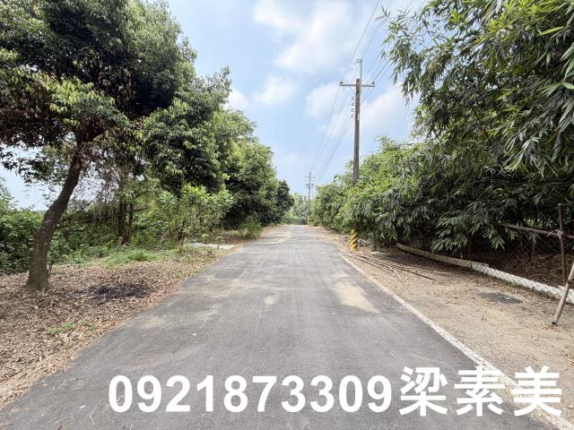 歸仁農地-8