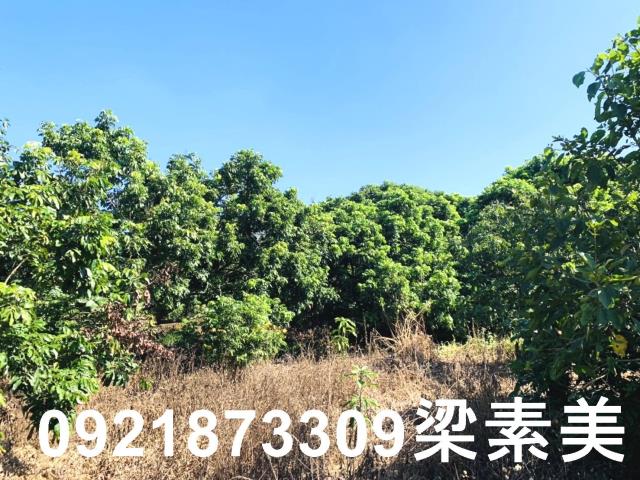 楠西農地-7