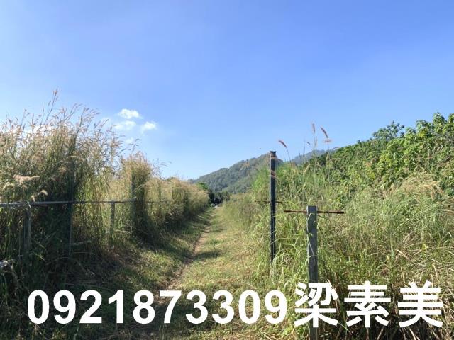 楠西農地-8