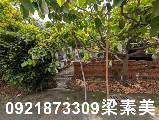 台南建地-6