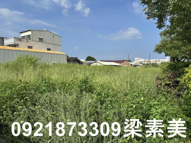 台南官田建地-4