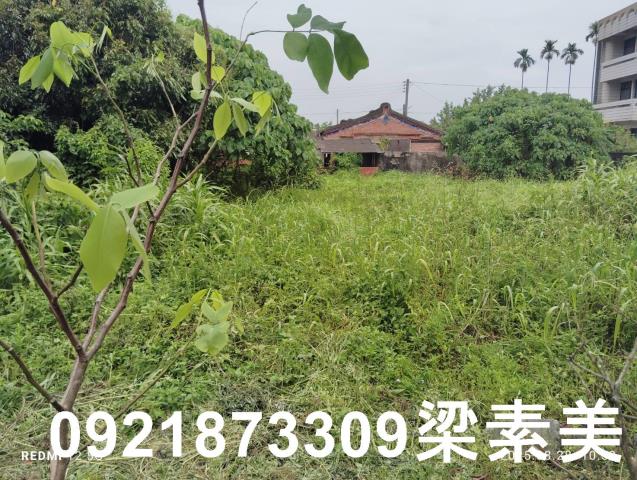 台南官田建地-0