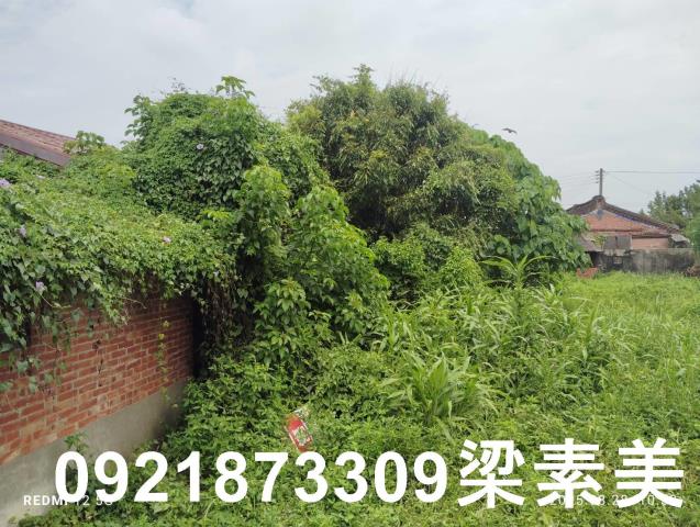 台南官田建地-1