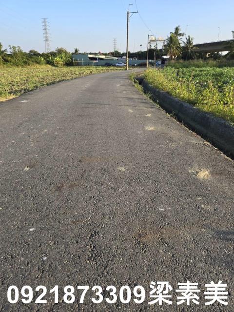 台南新市農地-9