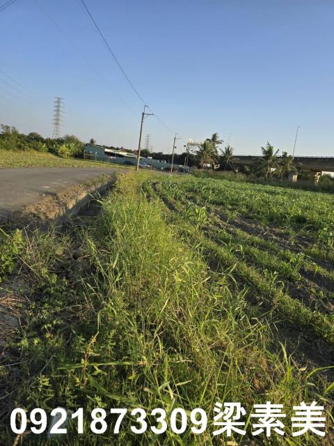 台南新市農地-3
