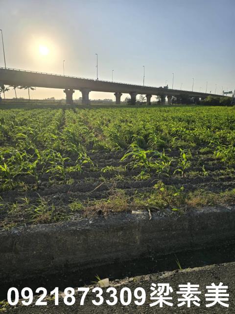 台南新市農地-6