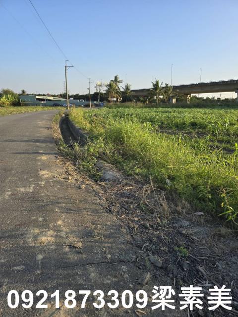 台南新市農地-8